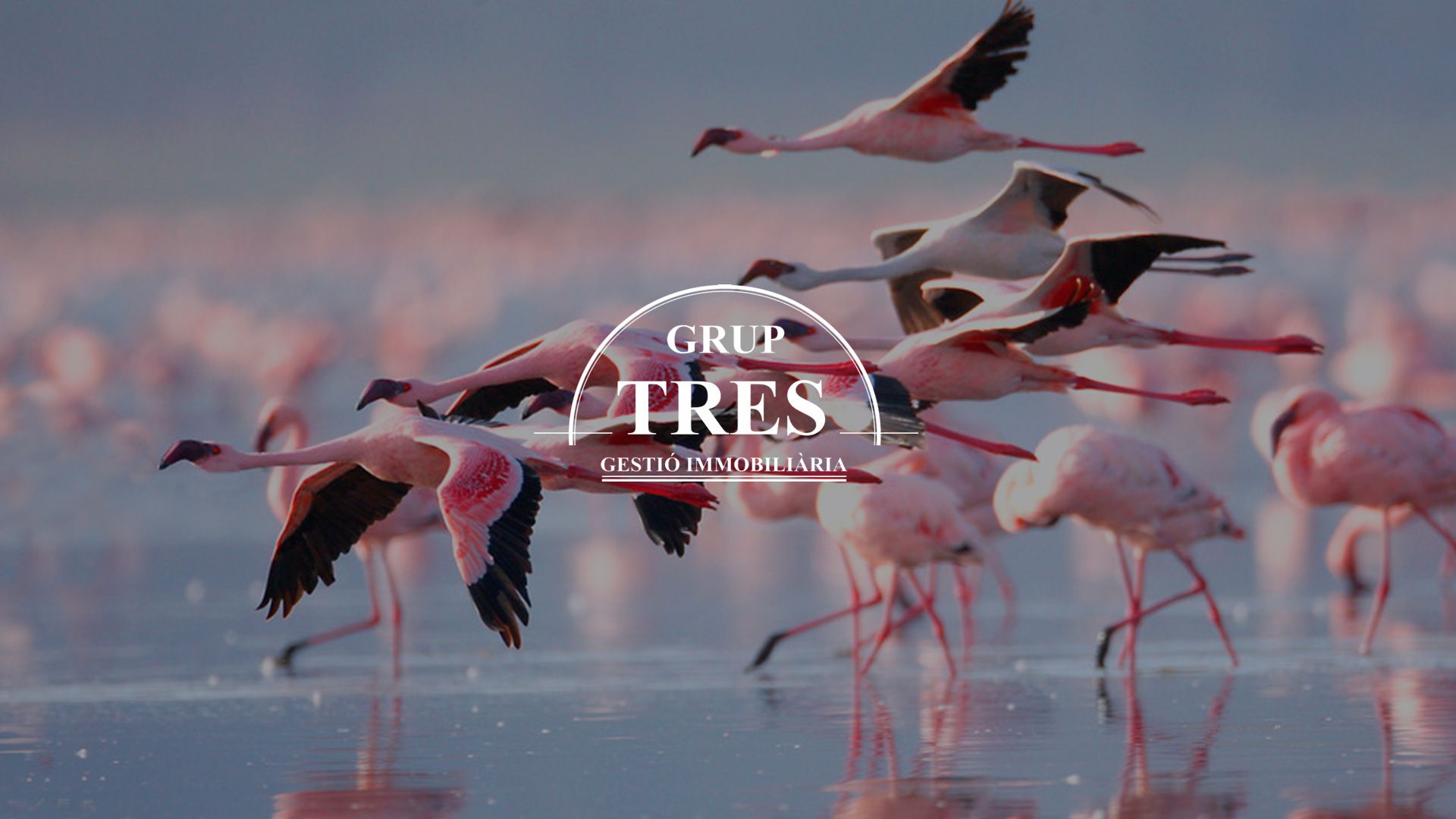 . GRUP3 en Sant Carles De La Rapita